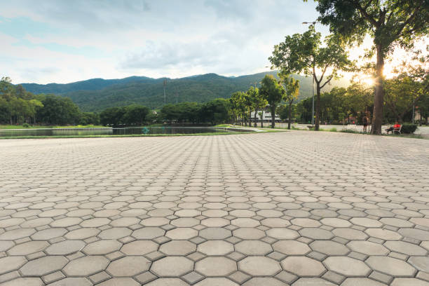 Best Driveway Pavers Near Me  in Western Lake, TX